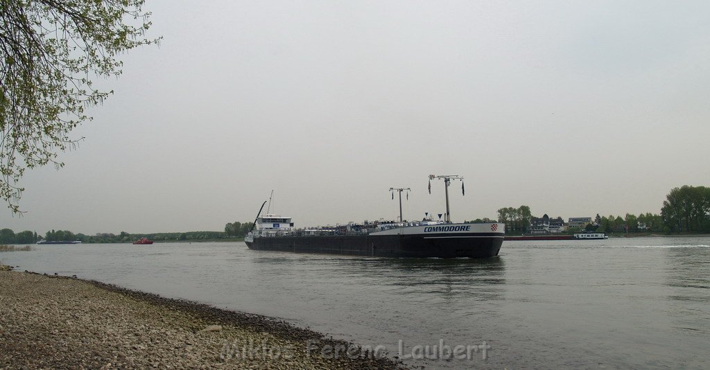Schiffs Havarie bei Godorf  P101.JPG